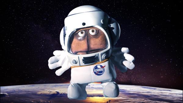 Bernd das Brot will in den Weltraum fliegen.